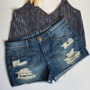 Articles of Society Denim Short Size 26